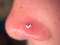 14k Marquise Duo