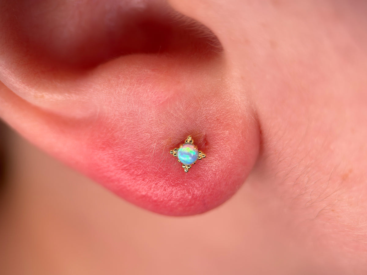 Zia Anatometal End Cabochon