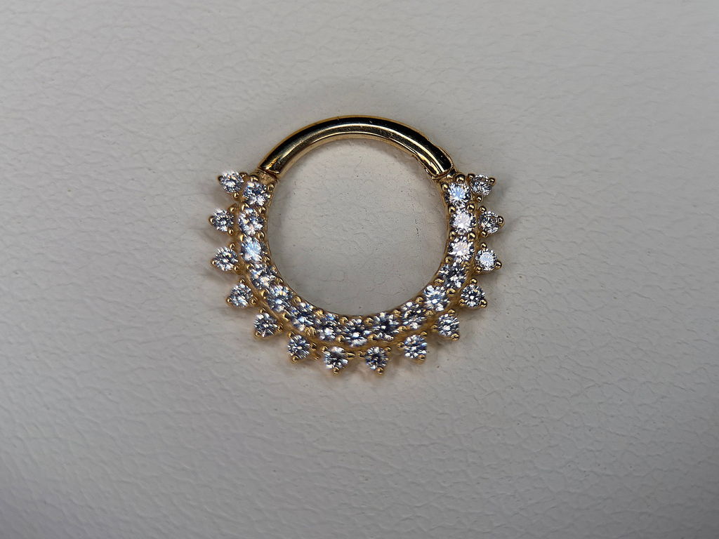 14K CZ Paved and Studded Hinge Ring