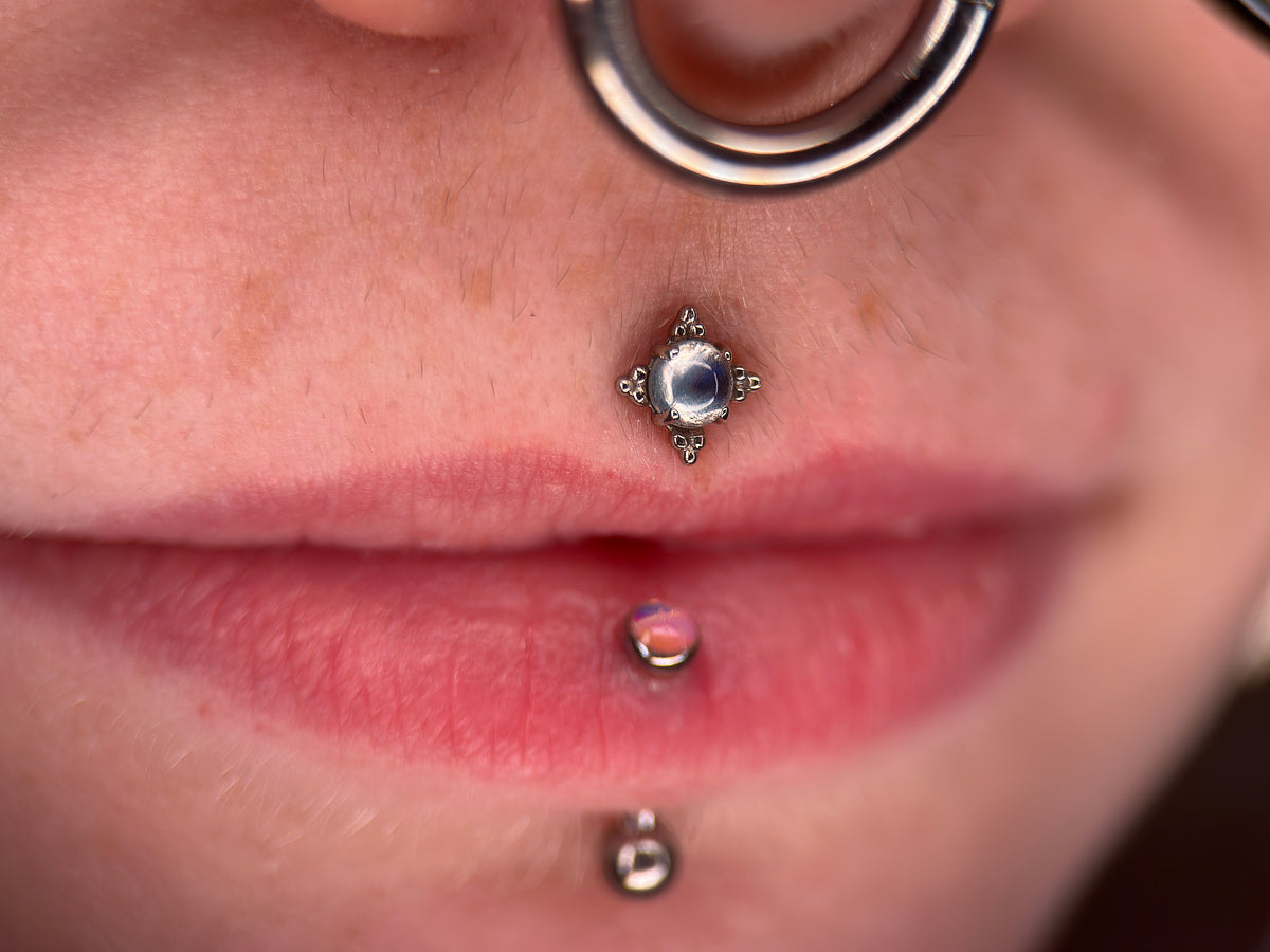 Zia Anatometal End Cabochon